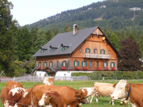 Die Traunmühle